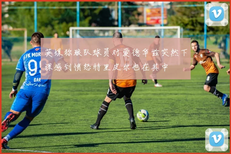 英媒称狼队球员对爱德华兹突然下课感到愤怒特里皮尔也在其中